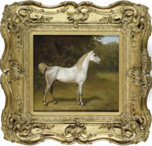 An Arab Stallion In A Landscape Oil Painting - Jacques Laurent Agasse