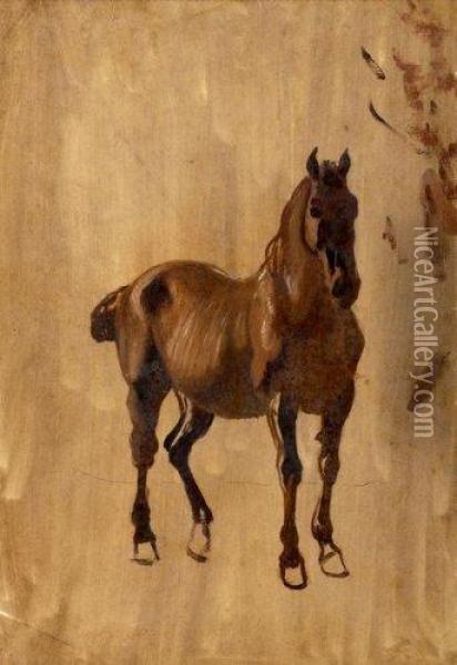 Etude De Cheval Oil Painting - Jean Huber