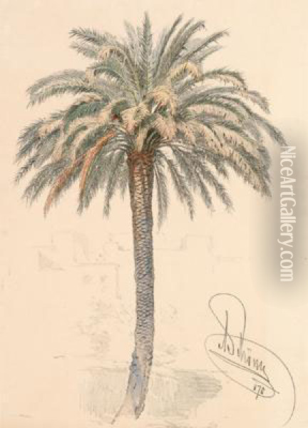 Palme Oil Painting - Alois Schonn