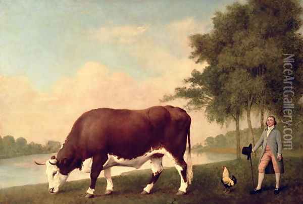 The Lincolnshire Ox, c.1790 Oil Painting - George Stubbs