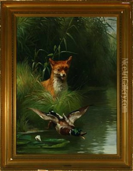 Fox Hunting Scared Duck Oil Painting - Adolf Heinrich Mackeprang