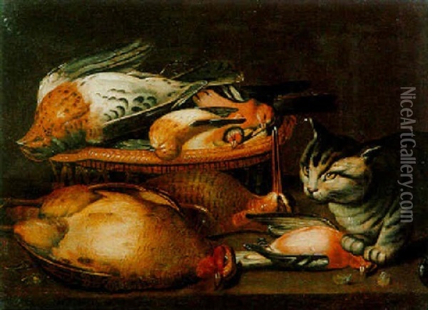 Still Life With A Partridge, Snipe And Various Birds With A Cat Oil Painting - Clara Peeters