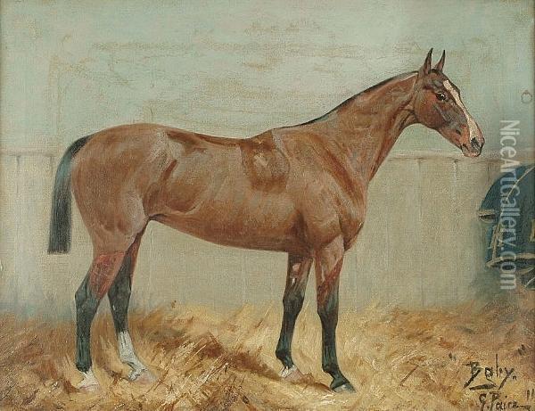 'baby', Portrait Of A Horse In A Stable Oil Painting - George Paice