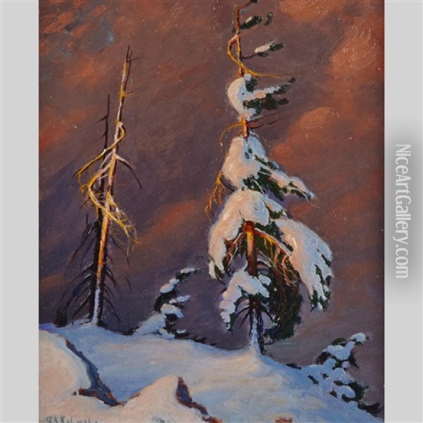 Snow-laden Windswept Pine Oil Painting - George Arthur Kulmala