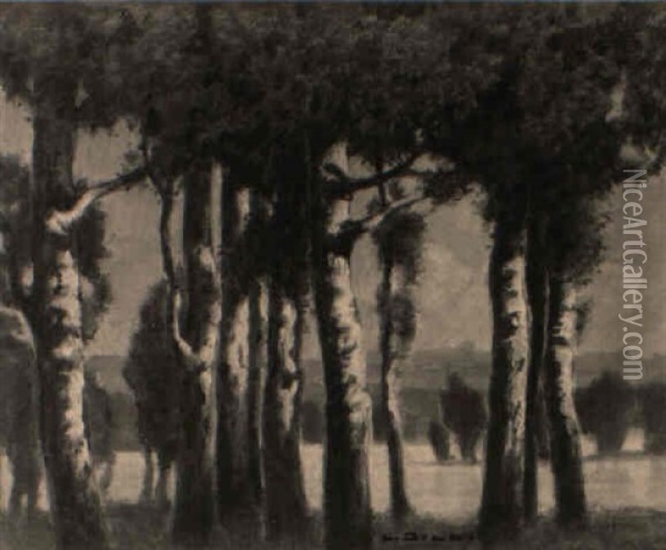 Birken Im Dachauer Moor Oil Painting - Ludwig Dill