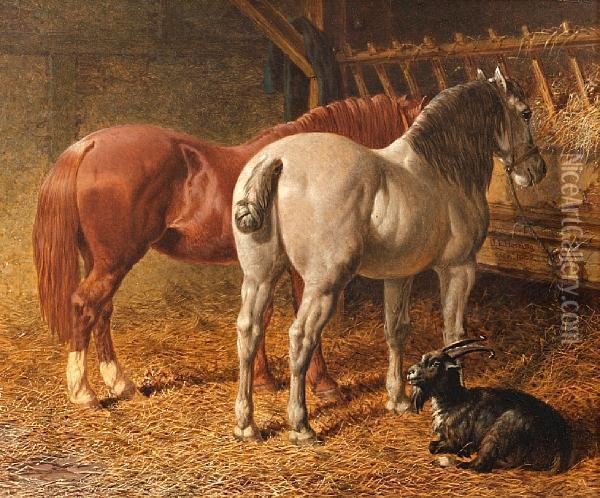 A Chestnut Cob, A Grey Cob And A Goat In Astable Interior Oil Painting - John Frederick Herring Snr