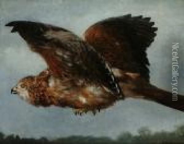 A Buzzard In Flight Oil Painting - Otto Bache