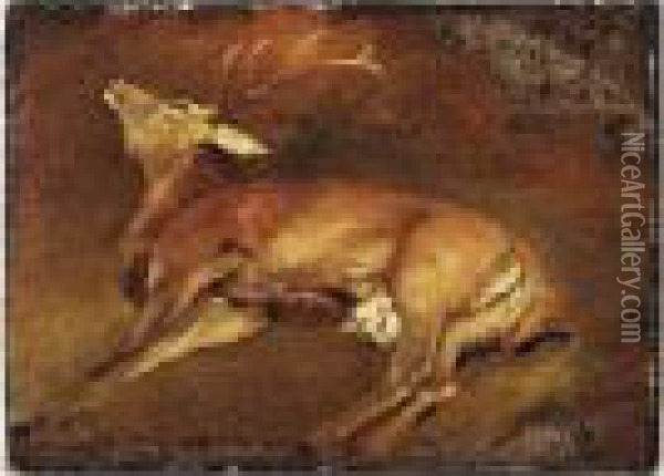 Study Of A Dead Stag Oil Painting - Landseer, Sir Edwin