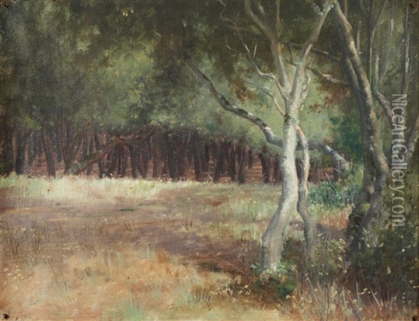 A Floresta Oil Painting - Charles James Theriat
