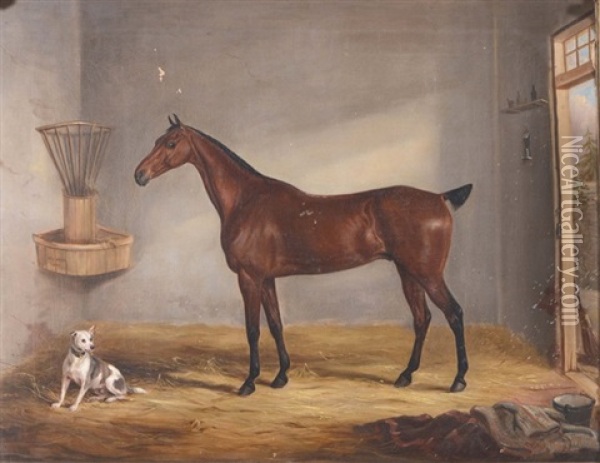 A Bay Horse In A Stable With Dog Oil Painting - William Webb