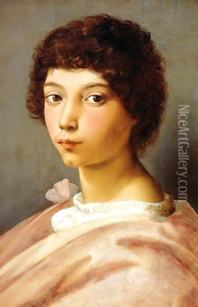 Portrait of a Young Man Oil Painting - Raphael