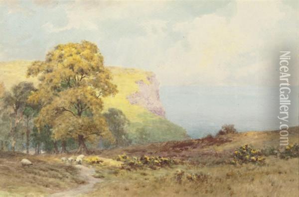 Sheep On A Coastal Path Near Salcombe Head, Devon Oil Painting - Henry Elliot