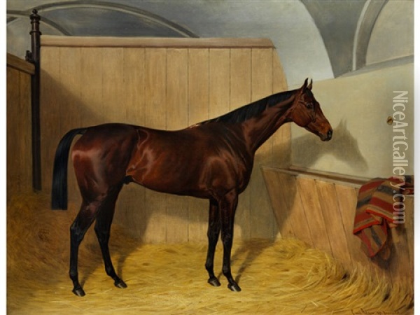 Bildnis Eines Pferdes Oil Painting - Emil Adam