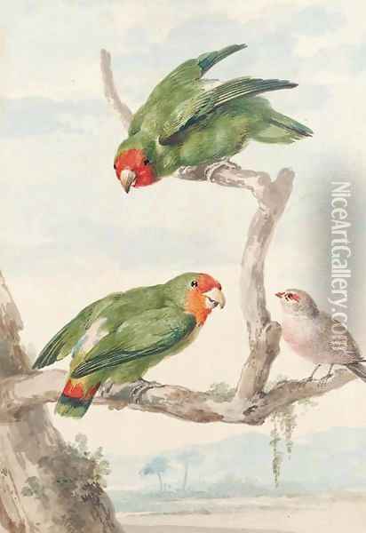 Two green parakeet and a Brazilian robin perching on a tree Oil Painting - Aert Schouman