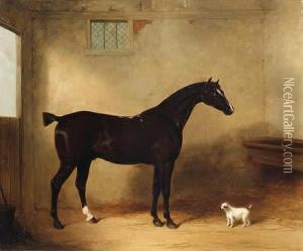 A Bay Hunter And Dog In A Stable Oil Painting - William Barraud