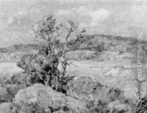 Sycamore In Autumn/the California Desert Oil Painting - Maurice Braun