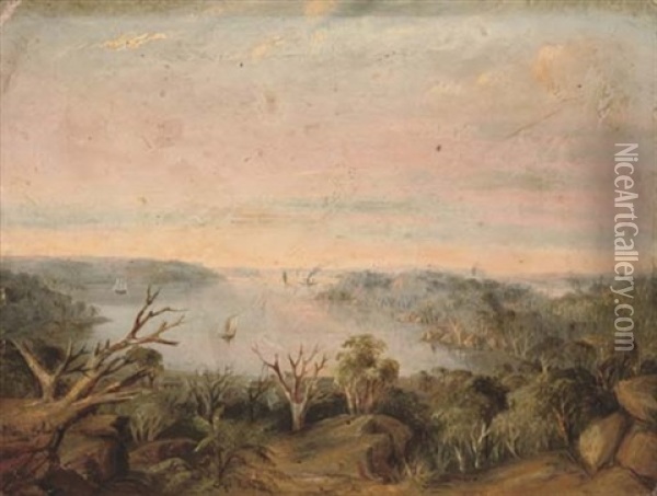 View From Above Double Bay With Middle Head And North Head In The Distance Oil Painting - George Edwards Peacock
