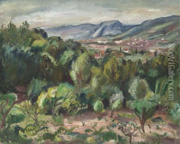Paysage De Provence Oil Painting - Emile-Othon Friesz