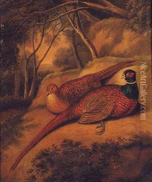 A Cock and Hen Pheasant in a wooded Landscape Oil Painting - English School