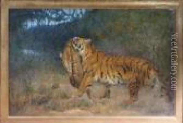 A Tiger With An Antelope Oil Painting - Cuthbert Edmund Swan