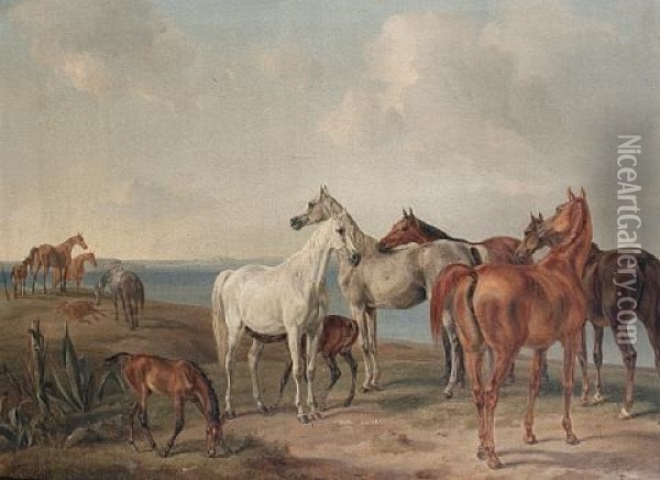 Horses On A Cliff Top Pasture Oil Painting - Albrecht Adam