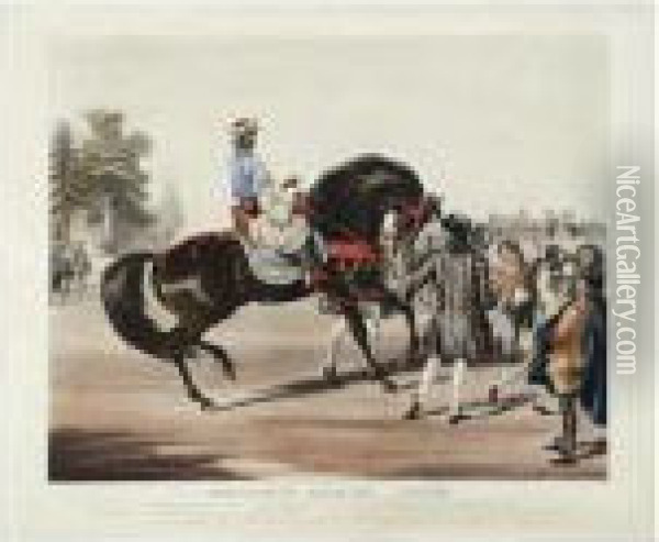 Godolphin Arabian, Scham Oil Painting - Francis Calcraft Turner