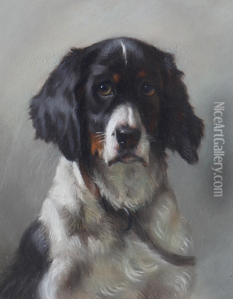 Portrait Of A Spaniel Oil Painting - Thomas William Earl