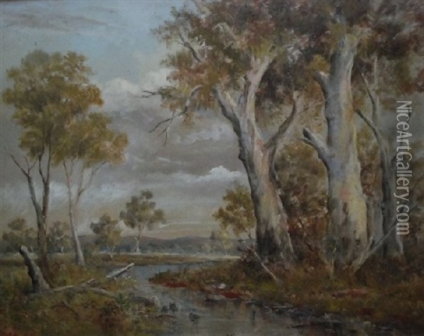 Australian Landscape With Creek Oil Painting - John Mather