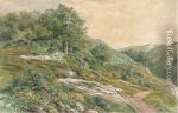 The Hillside Path Oil Painting - Henry Birtles