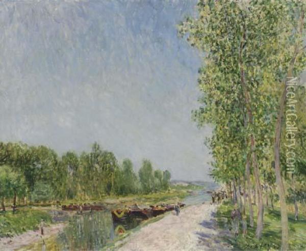 Sur Le Bord Du Canal Du Loing Oil Painting - Alfred Sisley