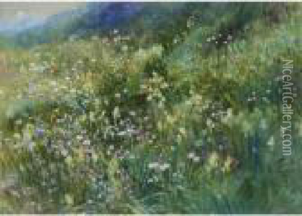 An Alpine Meadow Of Wildflowers Oil Painting - John MacWhirter