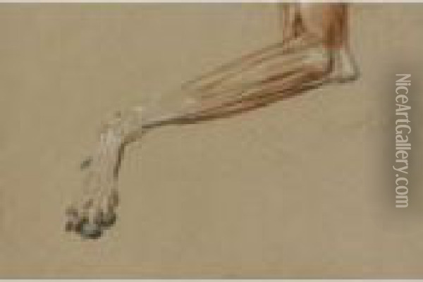 A Dog's Leg Oil Painting - Landseer, Sir Edwin