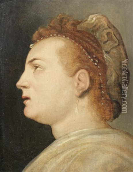 Head Of A Lady Oil Painting - Frans Floris the Elder