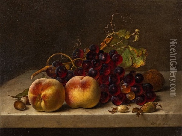 Fruit Still Life Oil Painting - Johann Wilhelm Preyer