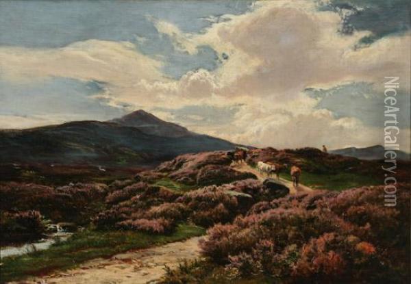 On The Perthshire Moors Oil Painting - Sidney Richard Percy