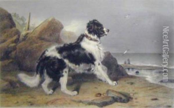After Sir Edwin Landseer, 'off To The Rescue', 31.5cm X 51cm, Handcoloured Engraving, Framed Oil Painting - Alfred Lucas