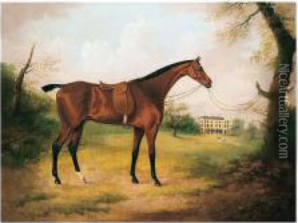 A Saddled Bay Hunter In The Grounds Of Bryn-y-pys, Flintshire Oil Painting - Daniel Clowes