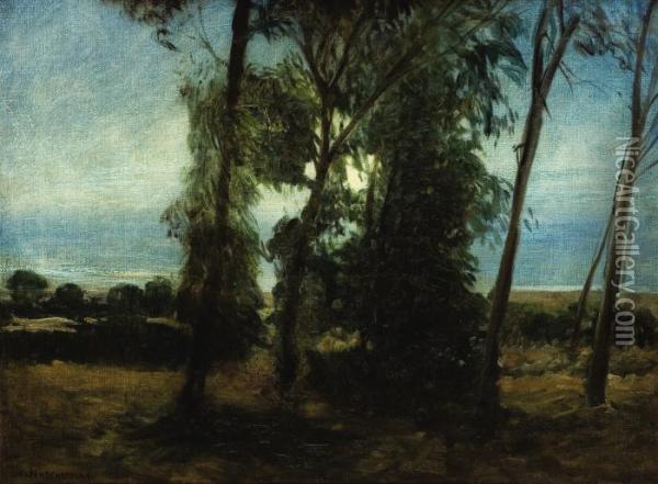 Trees At The Shoreline Oil Painting - Carlton Theodore Chapman