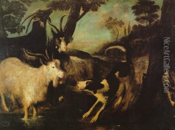 Vier Ziegen Und Ein Hund In Einer Bewaldeten Landschaft Oil Painting - Domenico Brandi