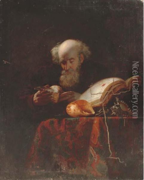 An Old Man Studying Shells Oil Painting - Michiel Sweerts