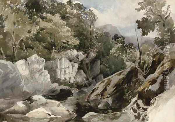 A Welsh mountain stream Oil Painting - David Hall McKewan