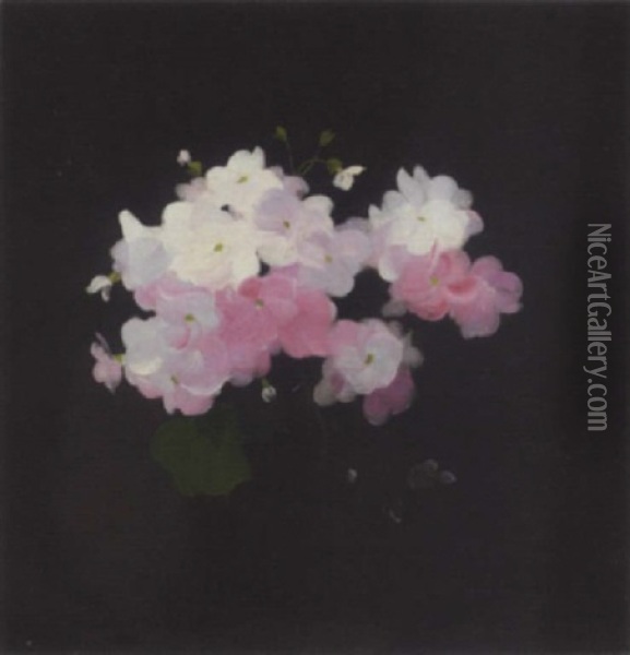 Pink And White Camellias Oil Painting - Stuart James Park