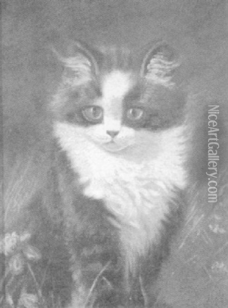 Portrait Of A Cat In Clover Oil Painting - Sidney Lawrence Brackett