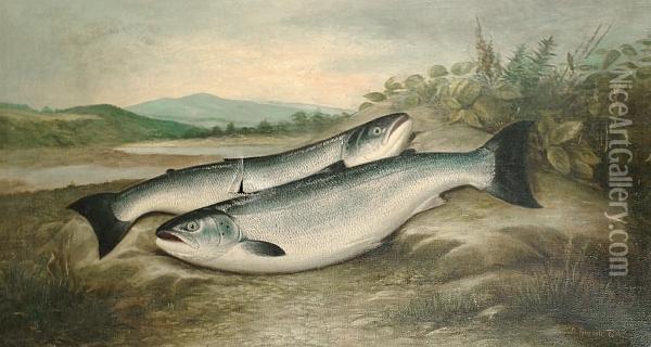A Brace Of Hen Salmon Oil Painting - Dhuie Russell-Tully