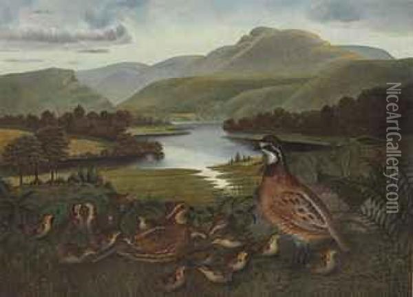 Quail In Landscape Oil Painting - Rubens Peale