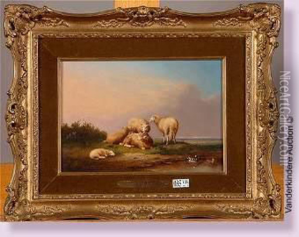 Moutons Et Canards Au Pre Oil Painting - Franz van Severdonck