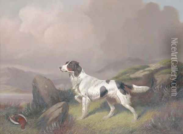 A setter in a moorland landscape Oil Painting - Colin Graeme Roe