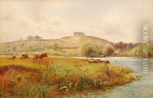 Cattle Watering At A Riverside With Hills In The Distance Oil Painting - John Pedder