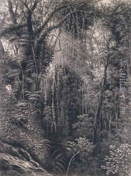 View of the Gorge above Apia, Upolu, Western Samoa, 1877 Oil Painting - Emma Sandys