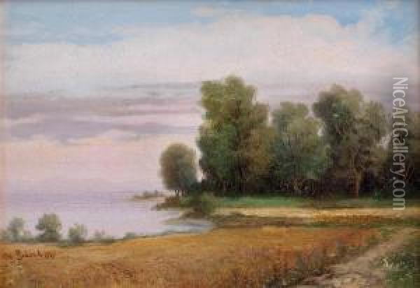 Feldweg Zum See Oil Painting - Robert Schleich